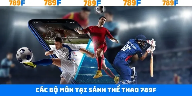 Một vài môn thể thao được ưa chuộng ở sảnh cược Một vài môn thể thao được ưa chuộng ở sảnh cược