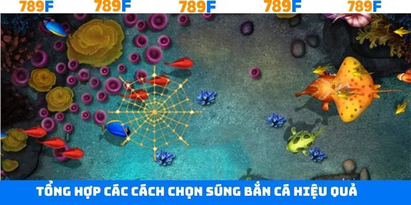 Nắm rõ cách thức khi chọn súng bắn cá hiệu quả cao