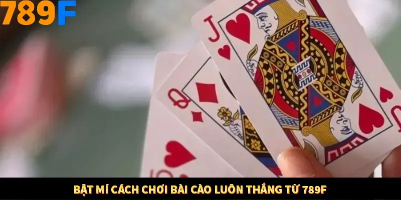 Mẹo Chia Bài 3 Cây Dễ Thắng Tại Trang Chủ 789F 8 Bật mí cách chơi bài cào luôn thắng từ 789F