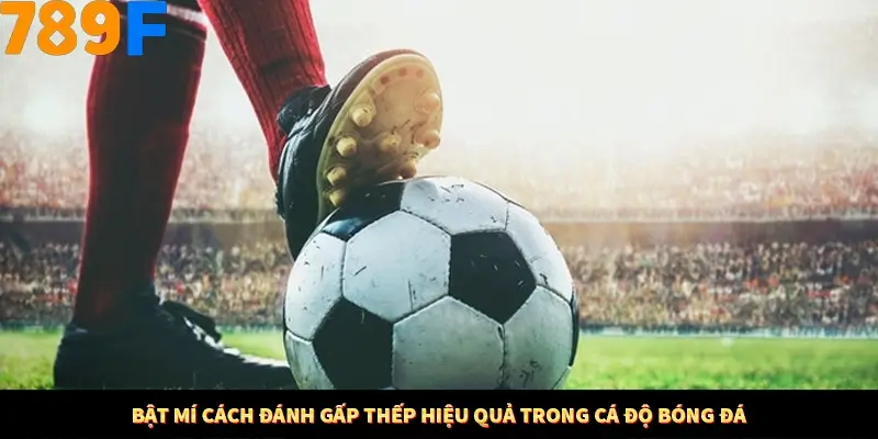 Bật mí cách đánh gấp thếp hiệu quả trong cá độ bóng đá