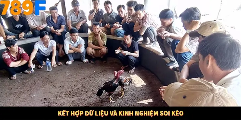 Mẹo Chia Bài 3 Cây Dễ Thắng Tại Trang Chủ 789F 9 Kết hợp dữ liệu và kinh nghiệm soi kèo