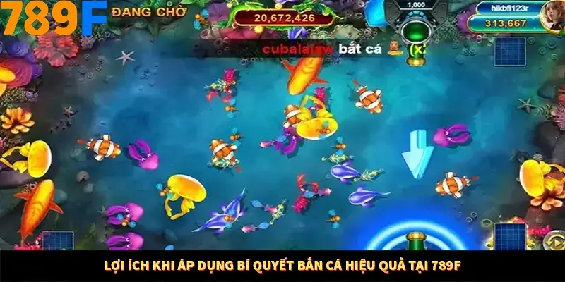 Mẹo Chia Bài 3 Cây Dễ Thắng Tại Trang Chủ 789F 8 Lợi ích khi áp dụng bí quyết bắn cá hiệu quả tại 789F