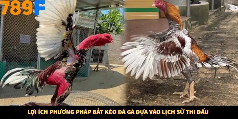 Mẹo Chia Bài 3 Cây Dễ Thắng Tại Trang Chủ 789F 7 Lợi ích phương pháp bắt kèo đá gà dựa vào lịch sử thi đấu