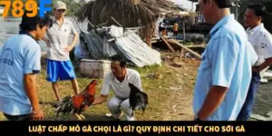 Luật Chấp Mỏ Gà Chọi Là Gì? Quy Định Chi Tiết Cho Sới Gà