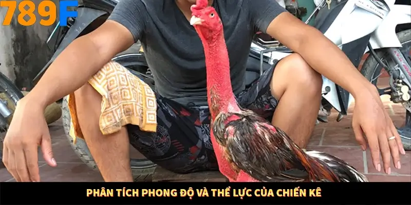 Mẹo Chia Bài 3 Cây Dễ Thắng Tại Trang Chủ 789F 9 Phân tích phong độ và thể lực của chiến kê