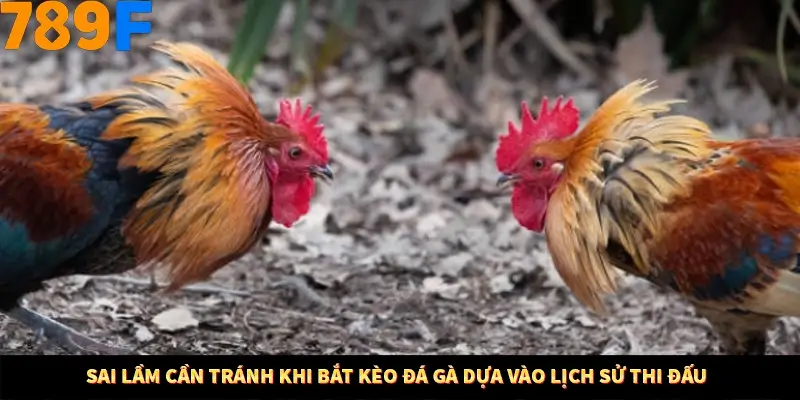 Mẹo Chia Bài 3 Cây Dễ Thắng Tại Trang Chủ 789F 9 Sai lầm cần tránh khi bắt kèo đá gà dựa vào lịch sử thi đấu