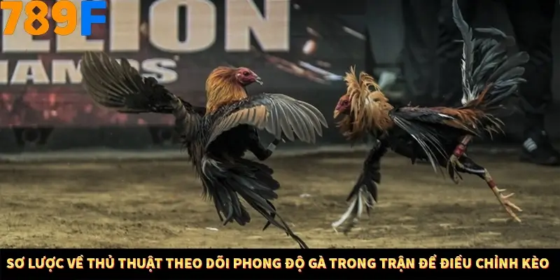 Mẹo Chia Bài 3 Cây Dễ Thắng Tại Trang Chủ 789F 7 Sơ đồ kỹ thuật theo dõi tốc độ gà trong trận để điều chỉnh