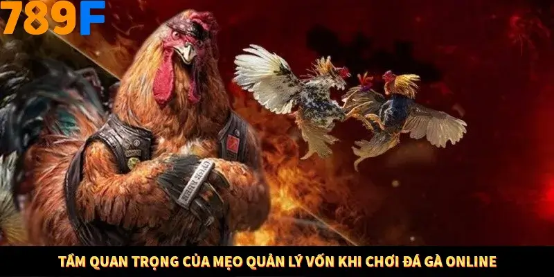 Tầm quan trọng của mẹo quản lý vốn khi chơi đá gà online