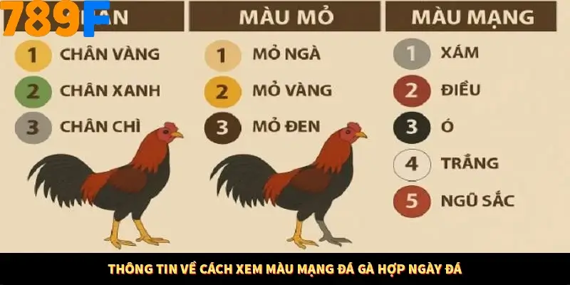 Thông tin về cách xem màu mạng đá gà hợp ngày đá