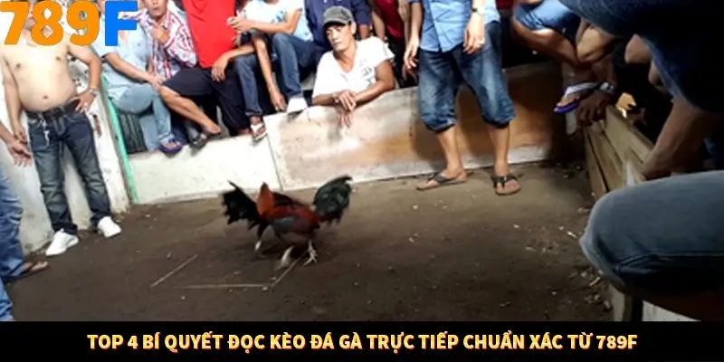 Mẹo Chia Bài 3 Cây Dễ Thắng Tại Trang Chủ 789F 8 Top 4 bí quyết đọc kèo đá gà trực tiếp chuẩn xác từ 789F