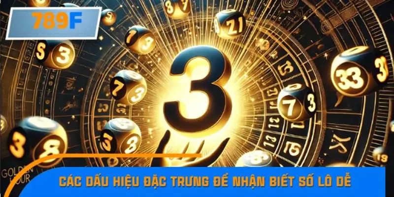 Các dấu hiệu đặc trưng để nhận biết số lô dễ về trong mùa mưa
