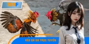 Kinh Nghiệm Bắt Kèo Đá Gà Trực Tuyến Dễ Hiểu Nhất Cho Tay Mơ
