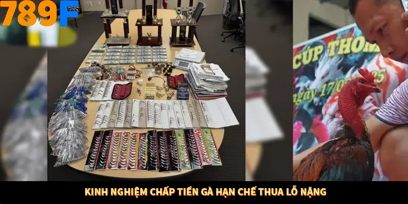 Kinh nghiệm chấp tiền gà hạn chế thua lỗ nặng