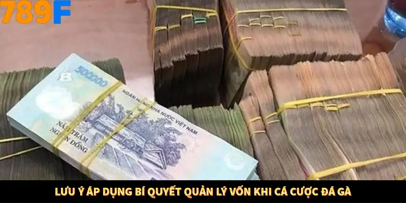 Lưu ý áp dụng bí quyết quản lý vốn khi cá cược đá gà