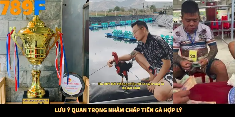 Lưu ý quan trọng nhằm chấp tiền gà hợp lý