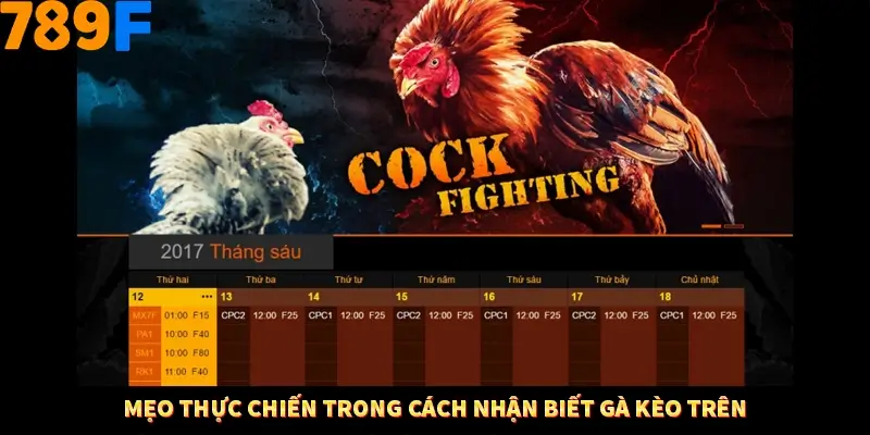 Mẹo thực chiến trong cách nhận biết gà kèo trên