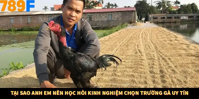 Tại sao anh em nên học hỏi kinh nghiệm chọn trường gà uy tín